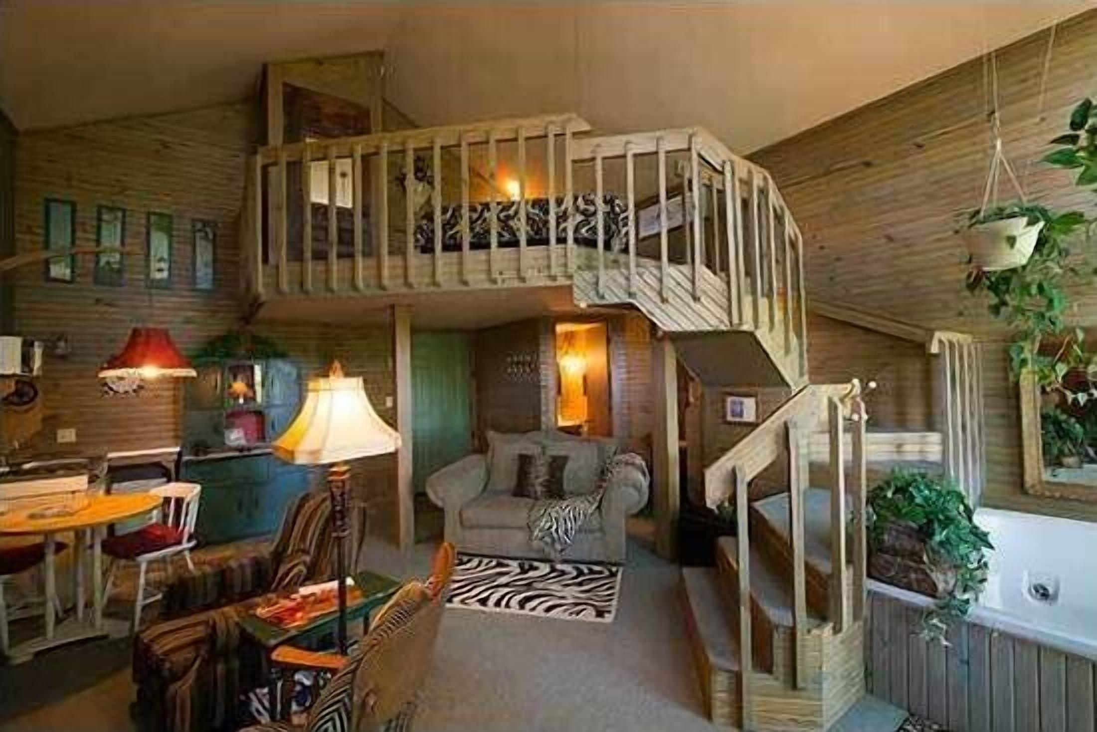 TV, fireplace, DVD player, books