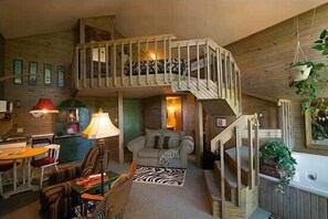 TV, fireplace, DVD player, books