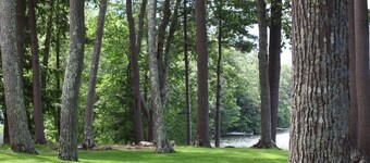 "Not-A-Pine Lane COTTAGE" is a family treasure enjoyed by generations