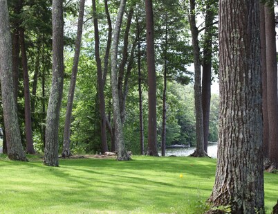 "Not-A-Pine Lane COTTAGE" is a family treasure enjoyed by generations