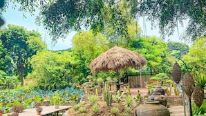 Un jardin agrémenté d’une terrasse en bois, d’un bassin et de diverses plantes.