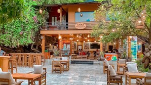 Un restaurant doté d’une terrasse, de tables et de chaises en bois, et de guirlandes lumineuses.