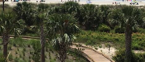 Plage, chaises longues