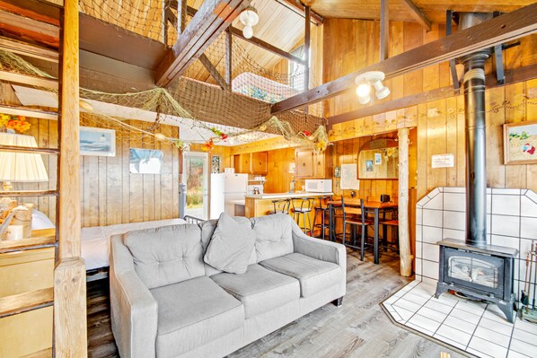 TV, fireplace, DVD player, books