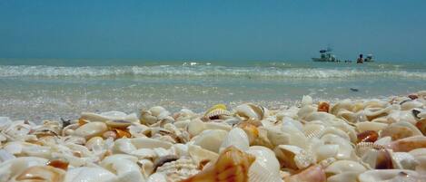 Una playa cerca, sillas reclinables de playa, toallas de playa
