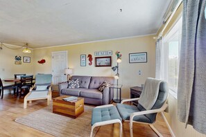 TV, fireplace, DVD player, books