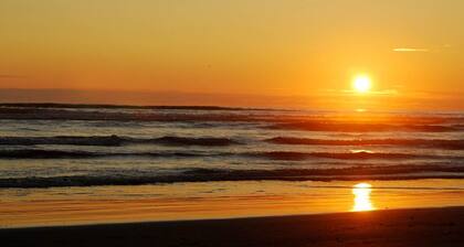 UUSI LUETTELO! Koiran ystävällinen mökki w / ranta pääsy ja merinäköala olohuoneesta