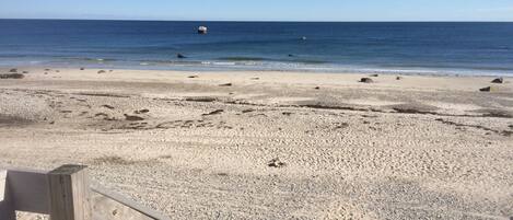 Am Strand