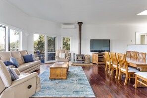 TV, fireplace, video game console