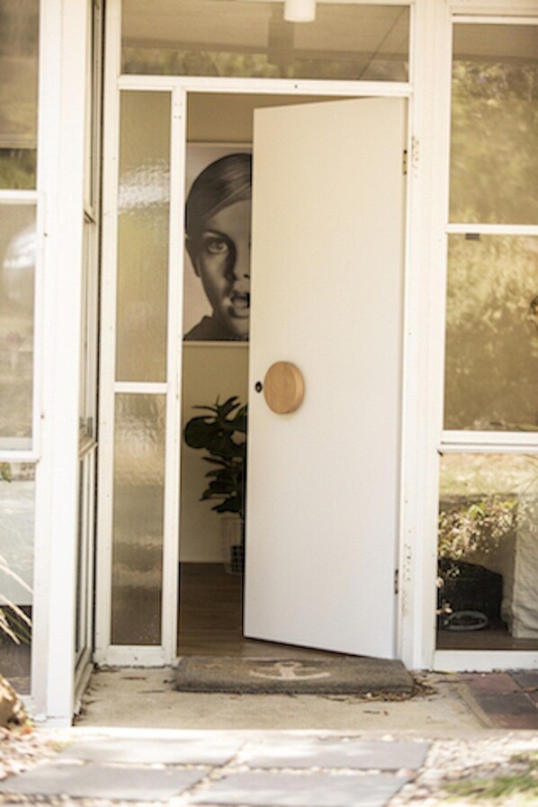 A white door with a round handle, a glass panel, and a small plant beside it.
