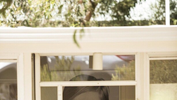 A window with a framed picture and a plant inside.
