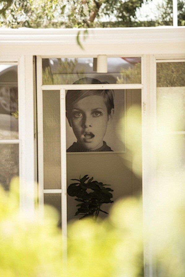 A window with a framed picture and a plant inside.