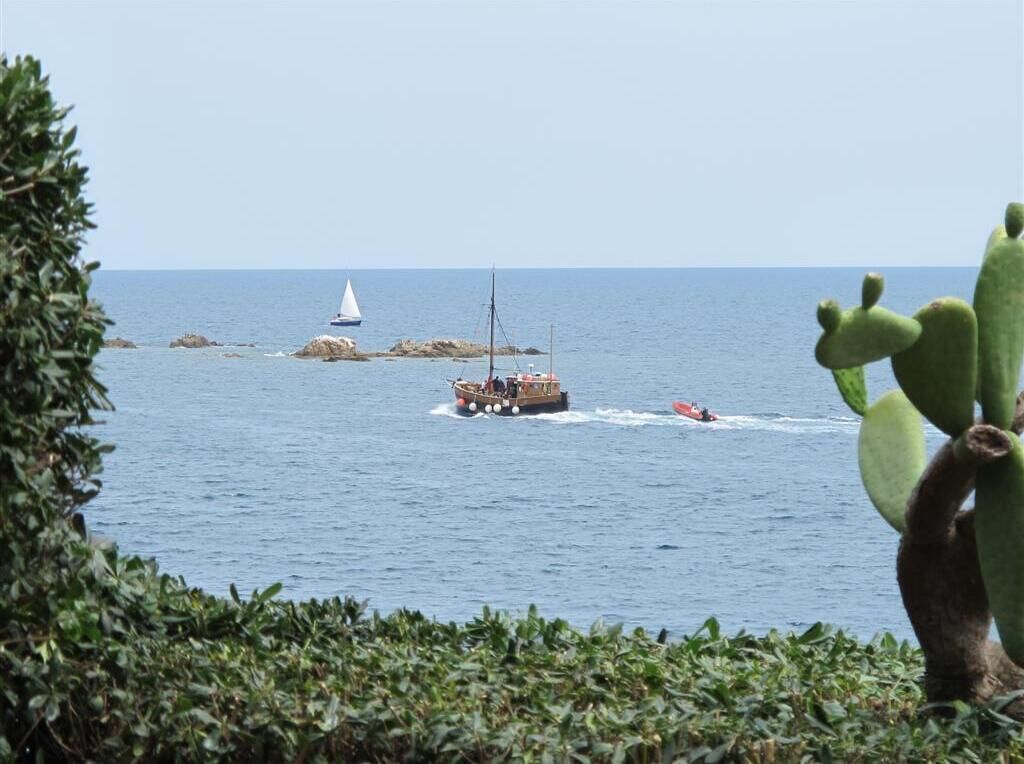 A coastal scene with a boat, a sailboat, and a cactus in the foreground.