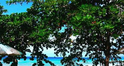 D's Ocean View Beach Resort