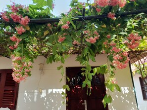 GDV Double Bungalow | Courtyard view - Phu Quoc Paris Beach Resort (Phu Quoc)