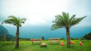 A grassy area with two wooden benches and two palm trees. - Kananam Retreat (Thodupuzha)