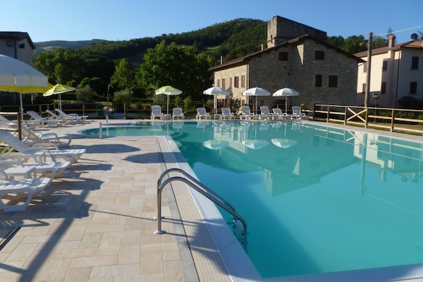 Seasonal outdoor pool, pool umbrellas, sun loungers