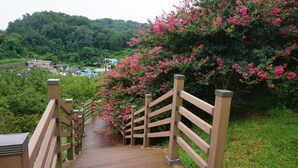 A wooden bridge with railings leading to a lush green area with pink flowers. - Wansangol Guesthouse (Jeonju)