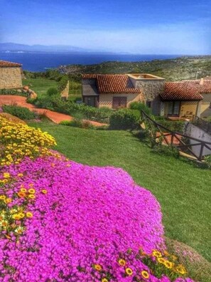 Terrein van de accommodatie