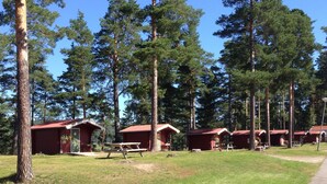 A row of red-roofed cabins with picnic tables in a grassy area surrounded by tall pine trees. - Ljusdals Camping (Ljusdal)