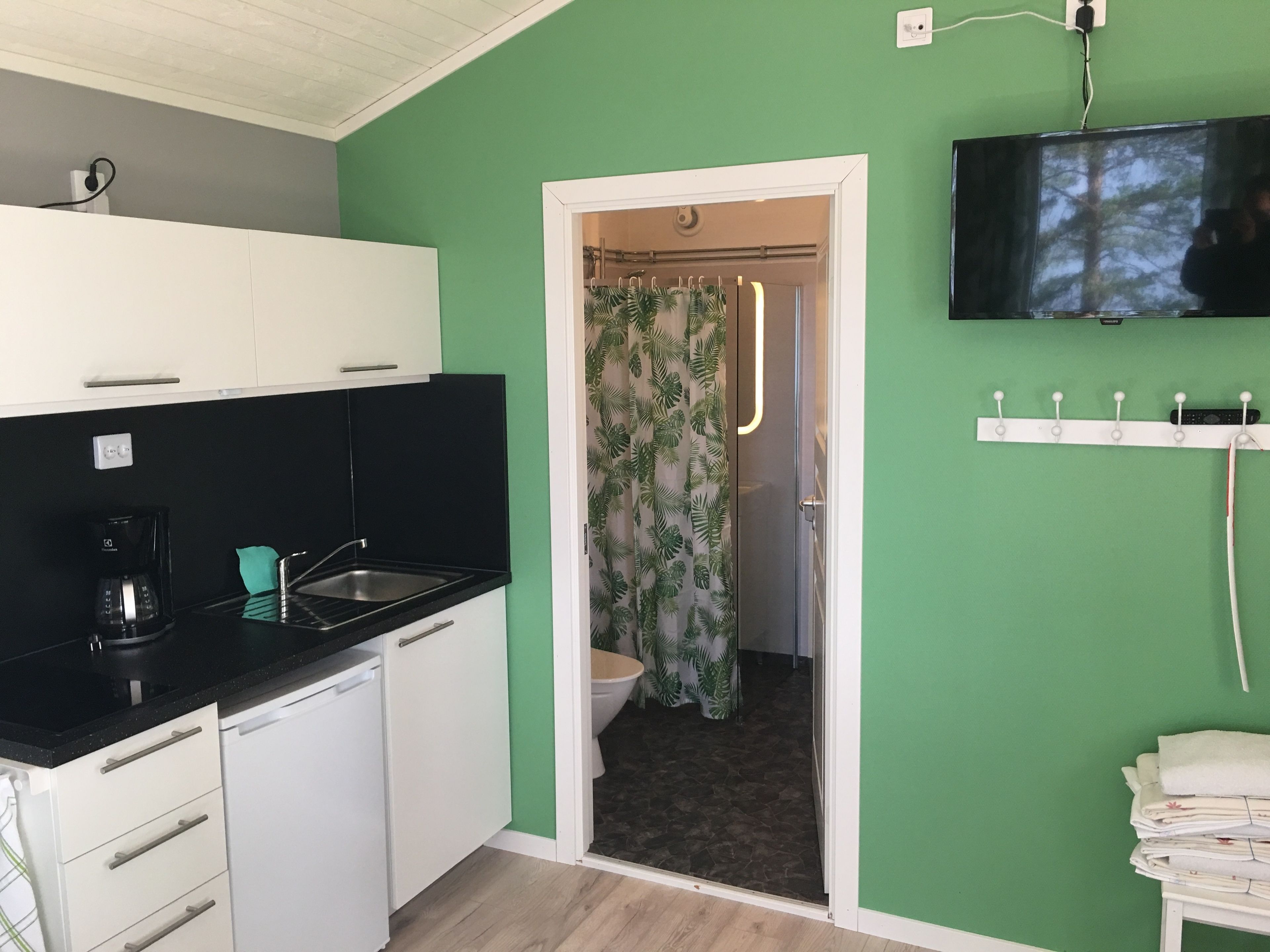 A compact kitchen with white cabinets, a black countertop, and a coffee maker. A shower with a green leaf-patterned curtain is visible through an open door.