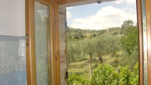 Una habitación con puerta de madera que da a una vista al aire libre de un viñedo.