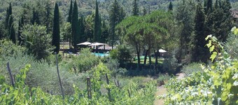 Borgo del Senatore