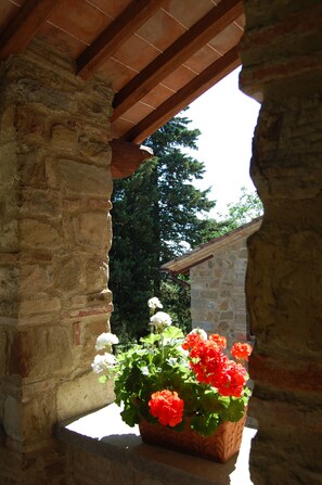 A stone structure with a wooden ceiling and a flower pot with red and white flowers.