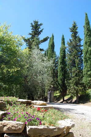 Property entrance - Borgo del Senatore (Anghiari)