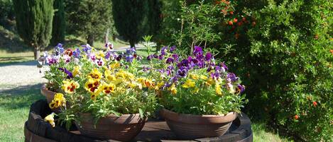 Details aan de buitenkant