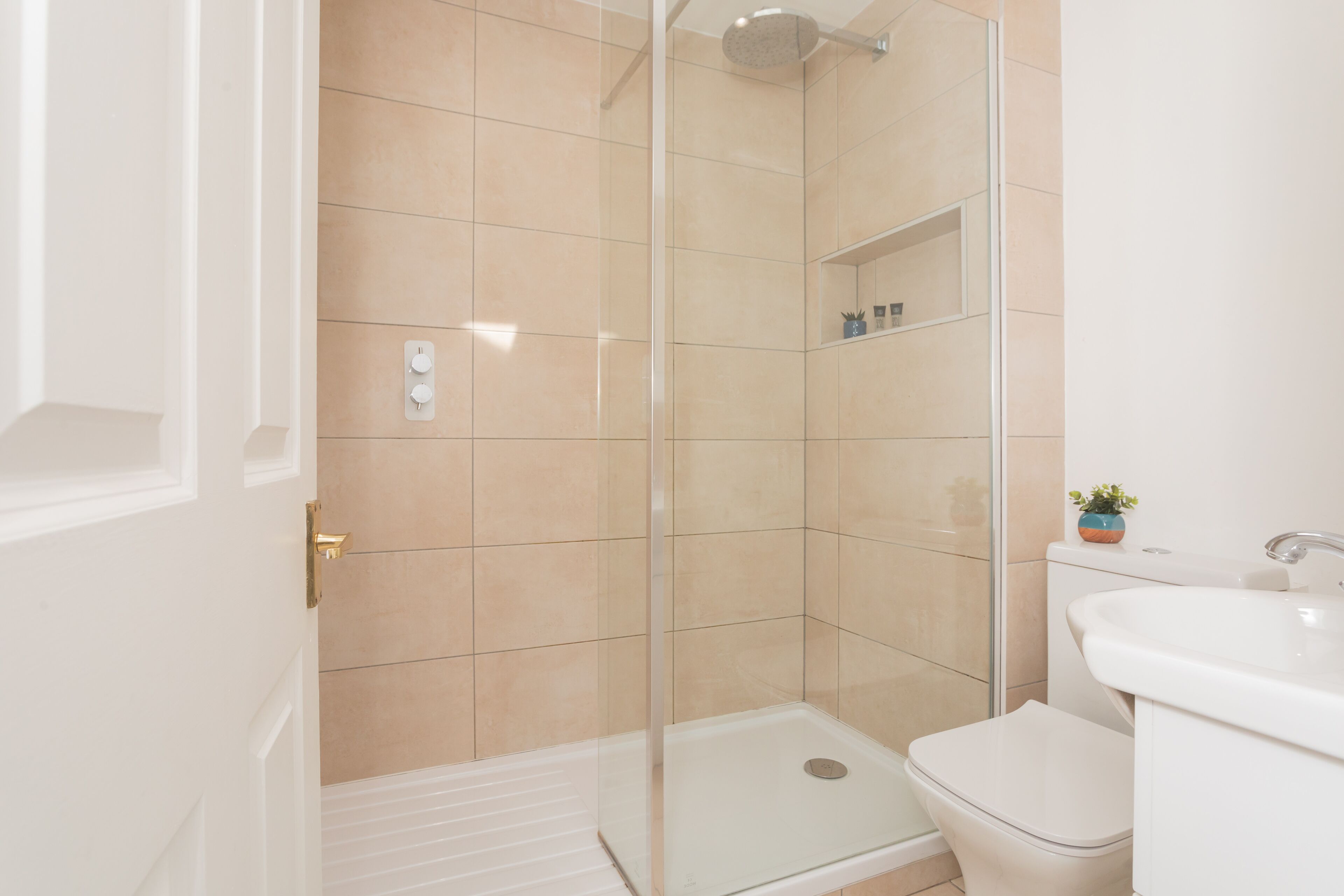 A modern bathroom with a glass-enclosed shower, a white toilet, and a sink with a small plant.