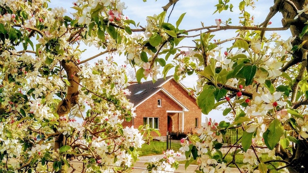 Een huis omringd door bloeiende bomen.