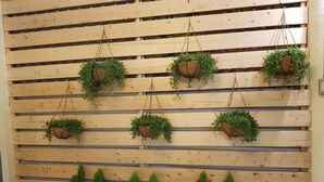 A wall with wooden slats and hanging planters with greenery. - B Puli Backpacker Hostel (Puli)
