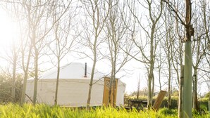A traditional yurt with a white exterior and a brown door, surrounded by tall grass and trees.