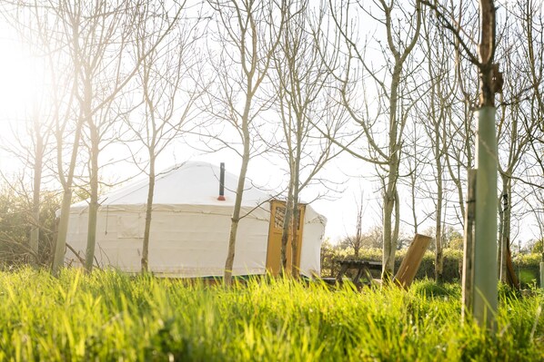 Stuga - flera sängar | Boendeområde