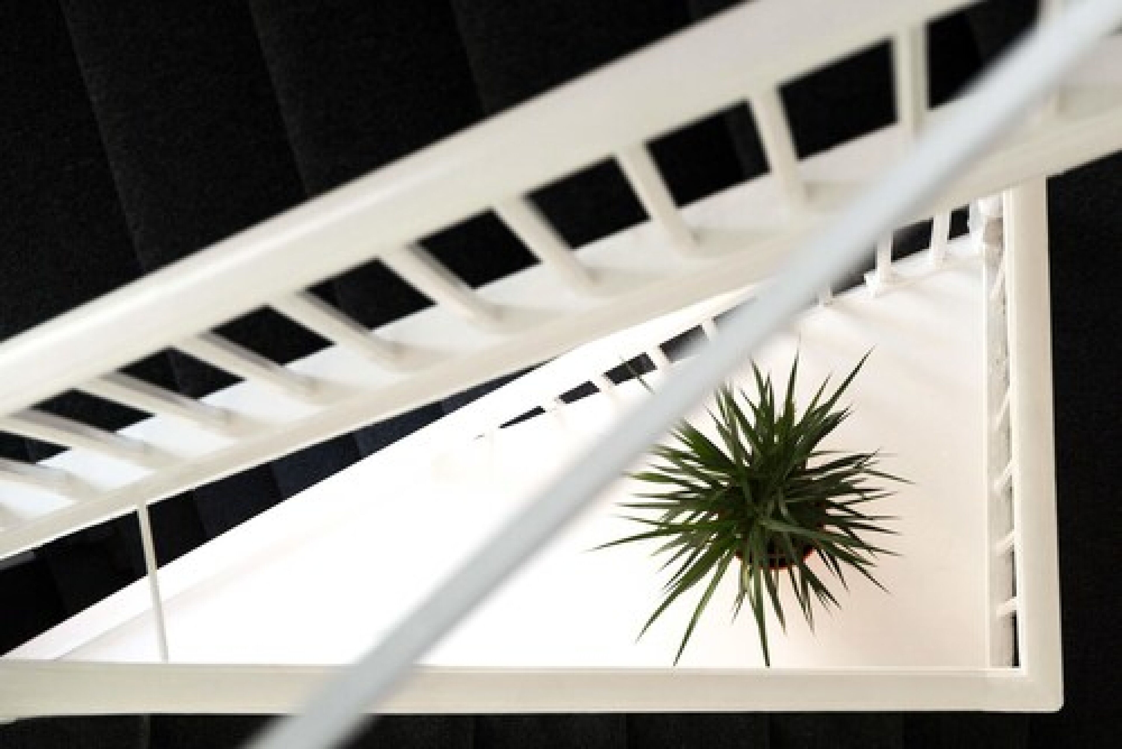 Uma escadaria branca com uma planta em vaso na base.