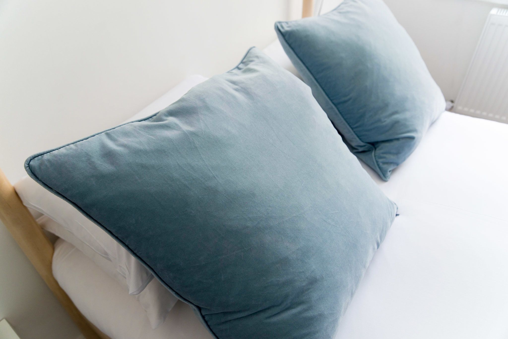 Foto - The Black Fox