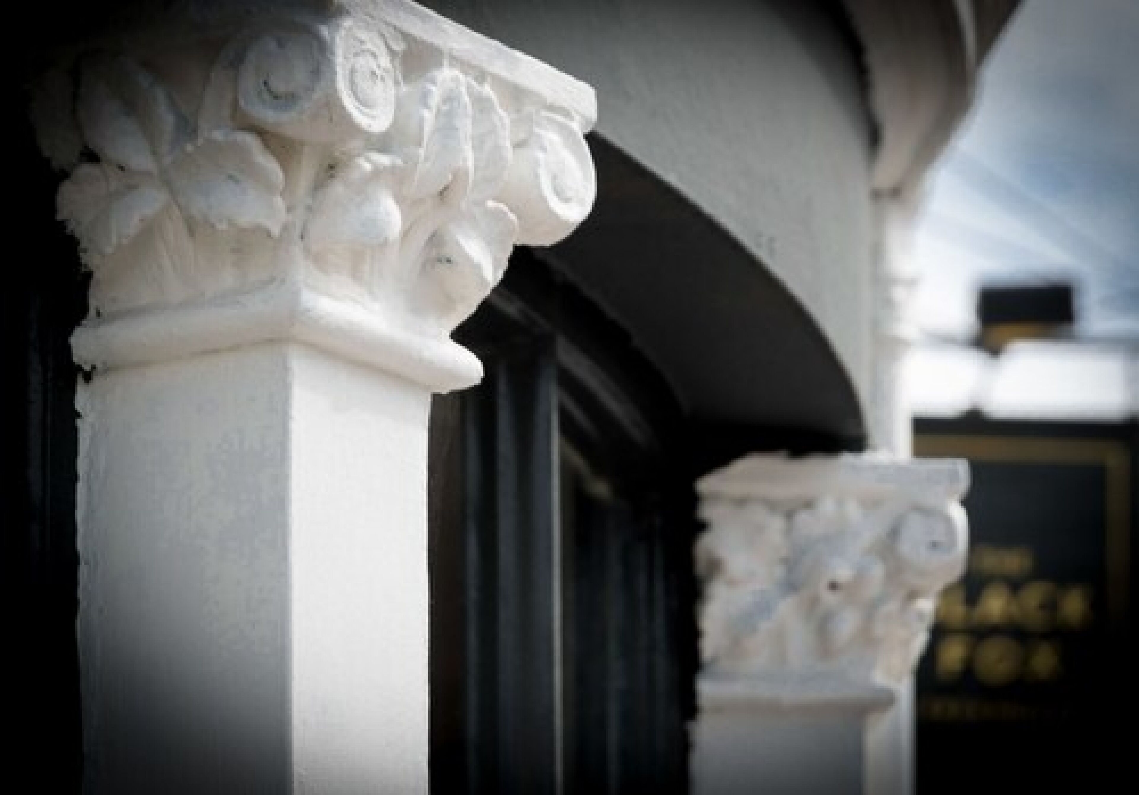 Foto - The Black Fox