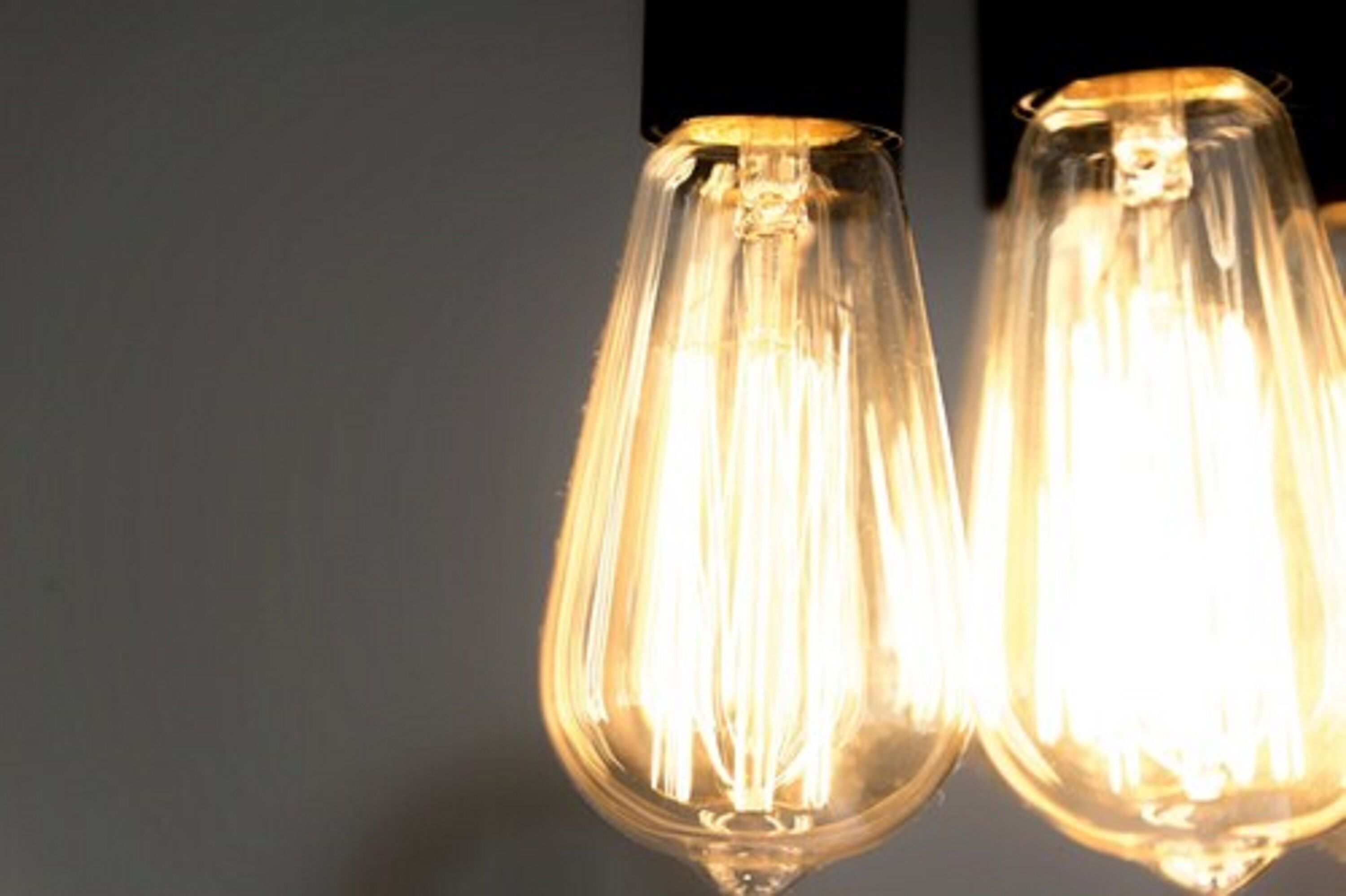 Foto - The Black Fox