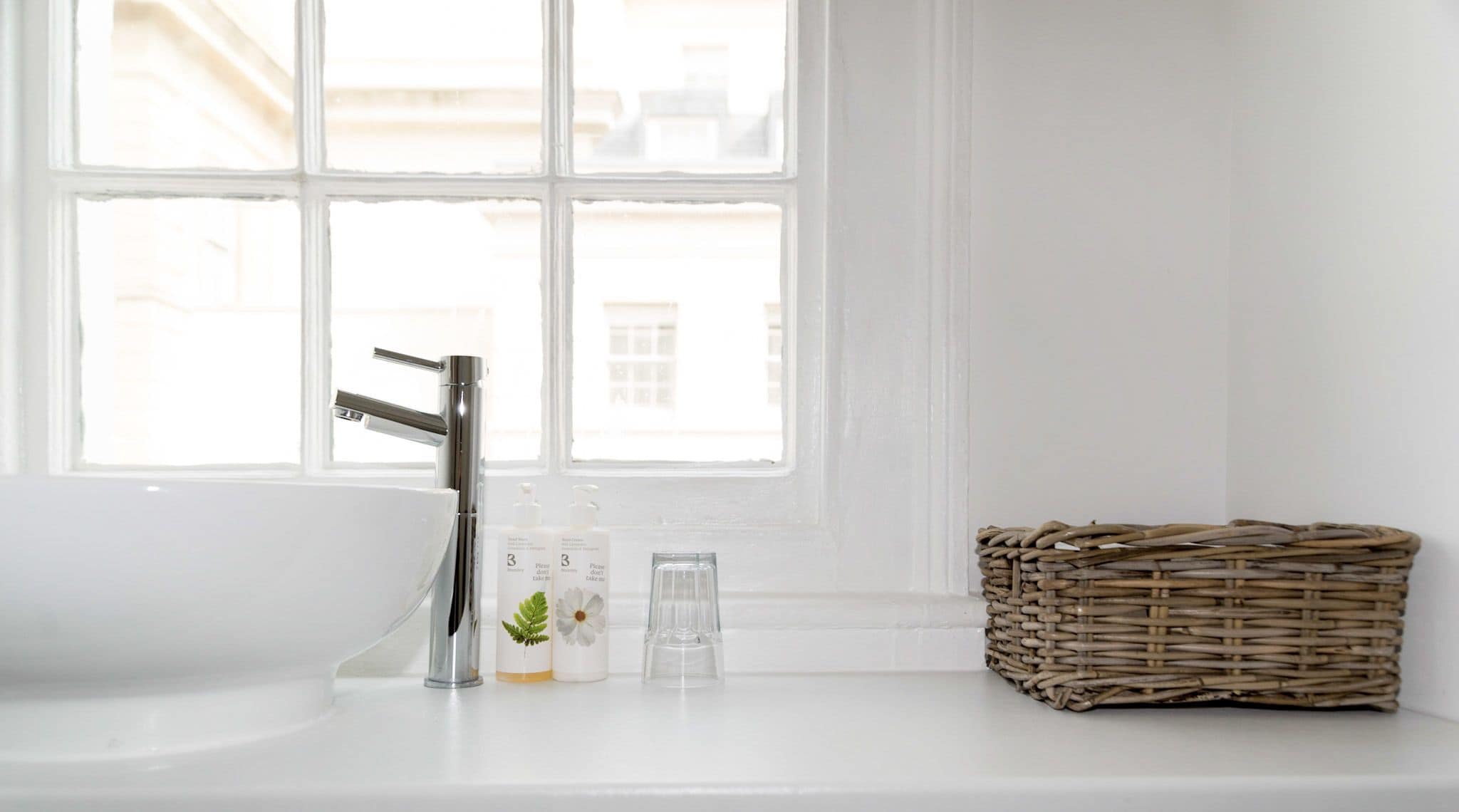 Foto - The Black Fox