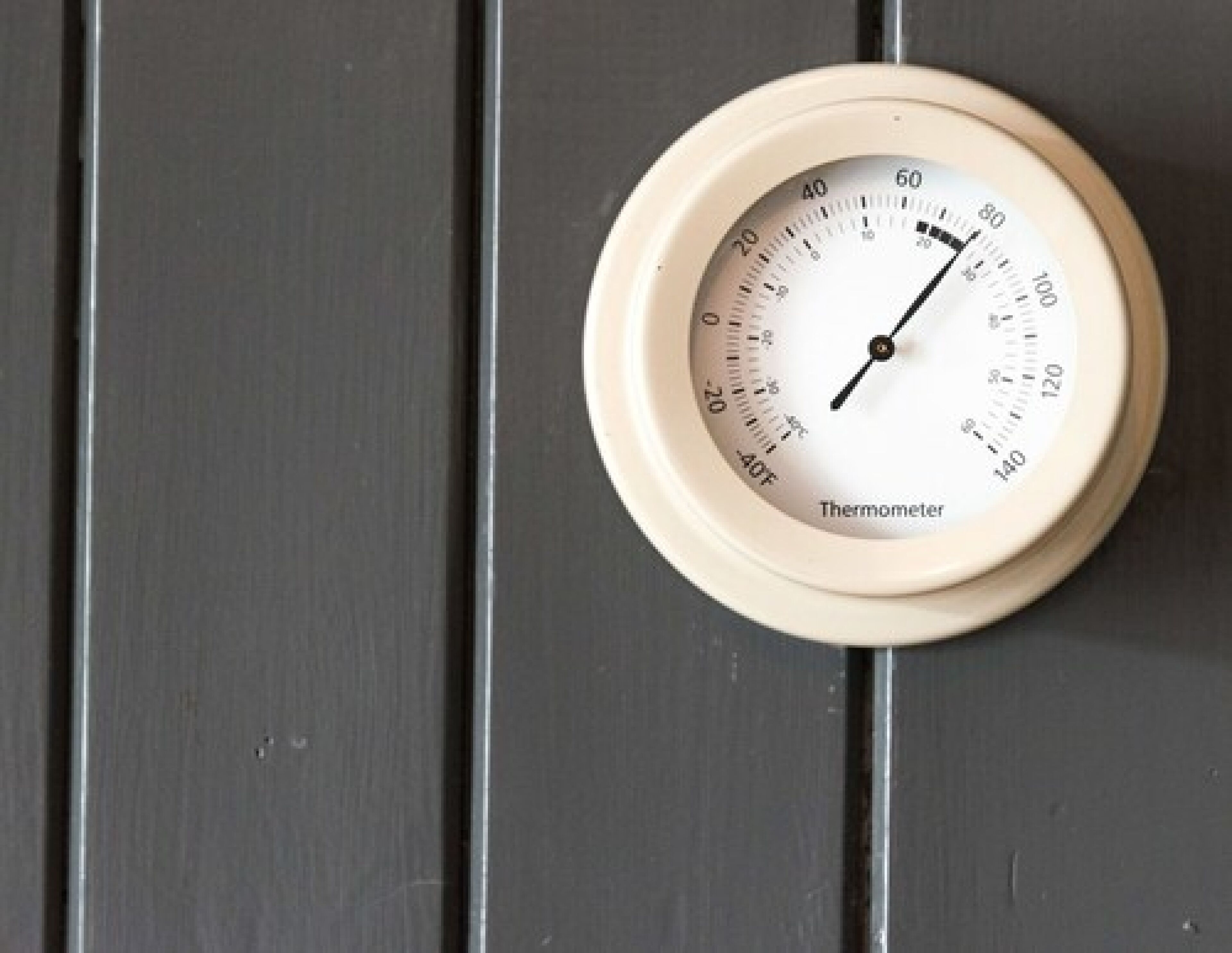 Foto - The Black Fox