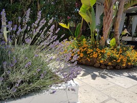 Jardín