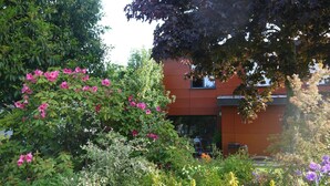 Un jardin agrémenté de diverses plantes et fleurs, situé devant un bâtiment à l’architecture moderne.