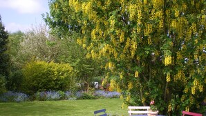 Un jardin avec une table ronde et des chaises colorées, entouré de plantes et d’arbres en fleurs.