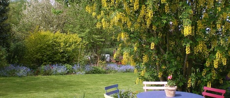 Jardin