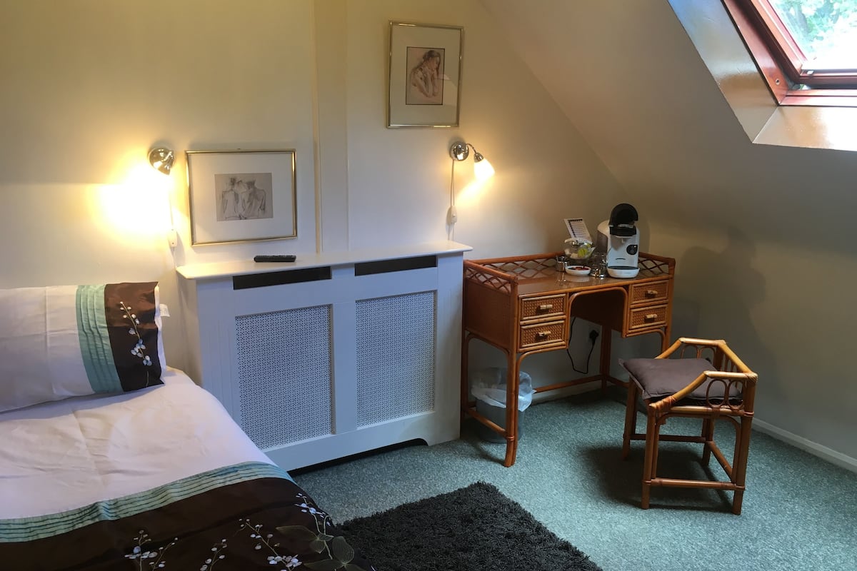 single room, 1 single bed | individually decorated, free wifi, bed sheets