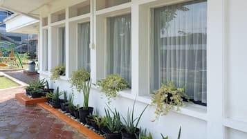 ํจ๋ฐ๋ฆฌ ํธ๋ฆฌํ๋ฃธ | ๊ฐ์ค์์ ๋ณด์ด๋ ์ ๋ง