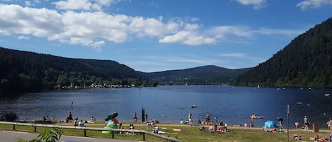 Vista de un lago con un espacio verde, una cerca de madera y cielo despejado.