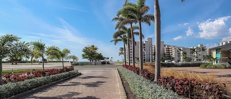 A paved walkway lined with palm trees and red flowering plants, leading to a modern building complex with multiple floors.