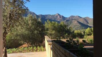 A view of a garden with a wooden bench and a concrete path, surrounded by trees and plants, with mountains in the background.